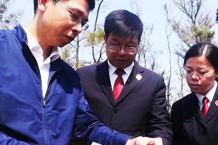 案件正在调查中什么意思