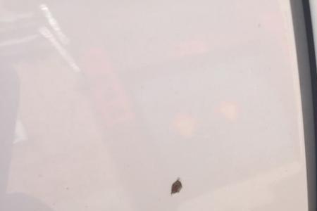 车门下缘磕掉漆见铁了
