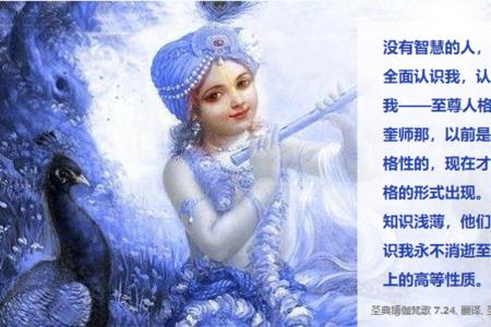 人格24代表什么意思