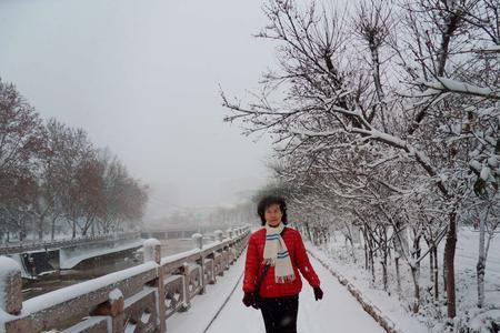飞入雪花都不见飞入的意思是