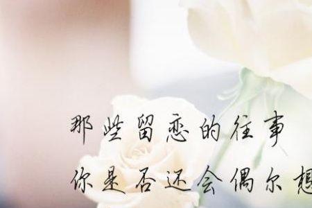 入了心的人忘不了的情歌词