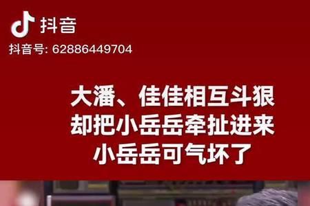大潘佳佳岳云鹏演的小品叫什么