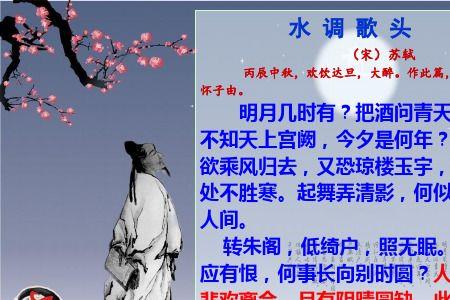 不问今夕是何年什么意思
