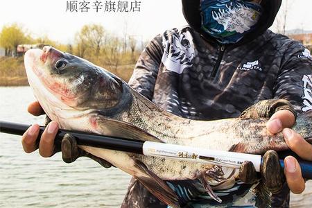 光威强手和汉鼎巨鲤哪个好