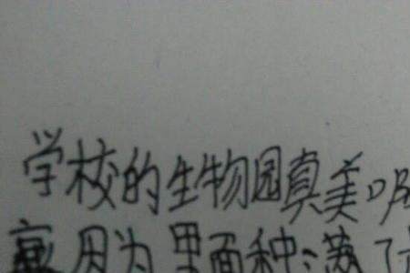 描写去游乐园的排比句