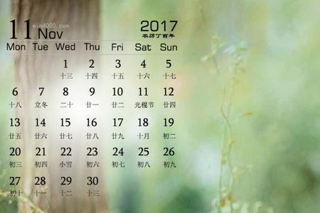沈音秦妄言结局