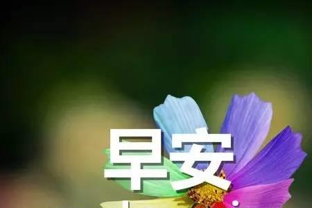 夫妻之间早安问候图片