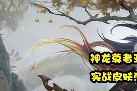 神龙尊者变大有什么用