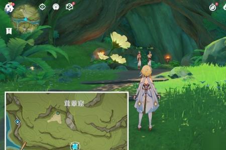 原神33森林树会更新吗