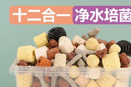 火山石和细菌屋的摆放顺序