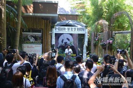 大熊猫死后遗体怎么办