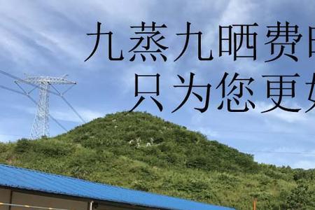 十蒸九晒有什么用处