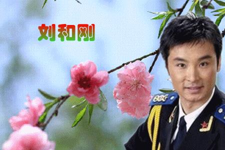 网易云动态怎么分享单曲