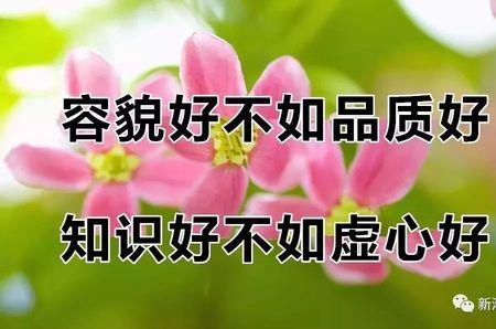 知己难得良师难遇的意思