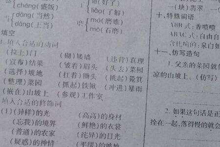 什么是什么，也是什么造句