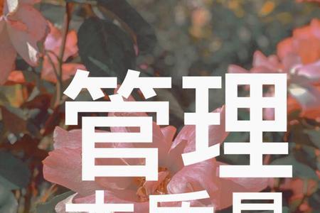 什么管人什么管事