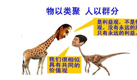 机乎的意思怎么解释