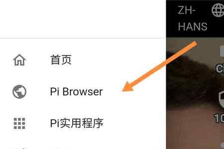 pibrowser是真的吗