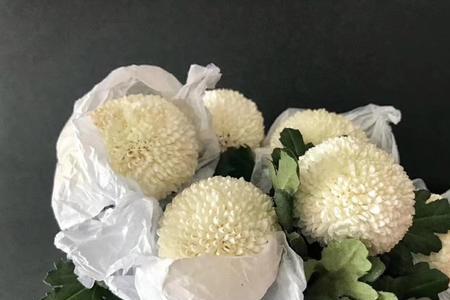 乒乓菊的花语