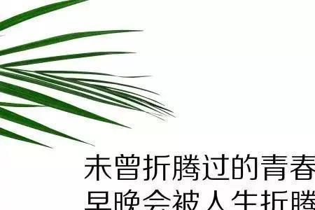 人生真情感悟句子五字
