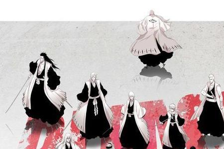 死神十三队原队长与现任队长