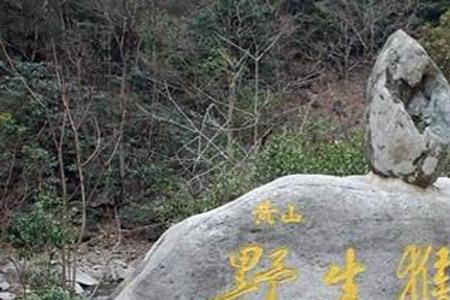 登崖过岭，赤斧断枯藤