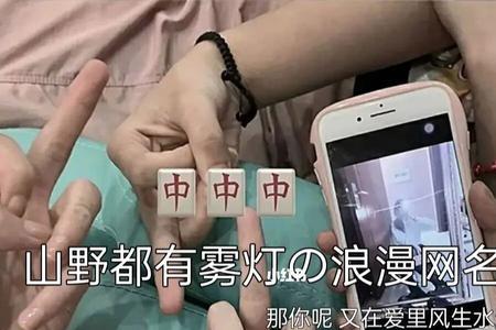 愿山野都有雾灯的原文
