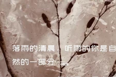 云花开歌含义