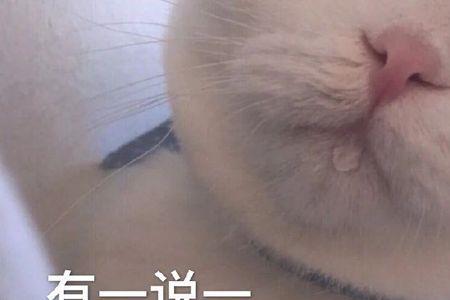 男生说我想谈恋爱了怎么回复