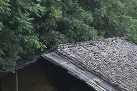 家里化粪池爬山来天蛇