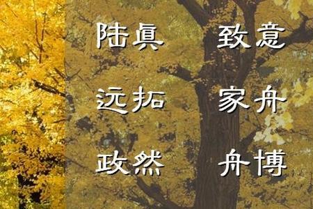 八位数的名字是什么