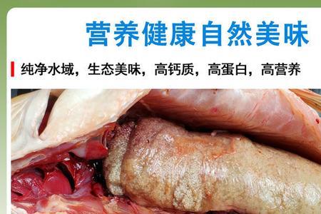 鱼籽鱼泡冷冻和新鲜的区别