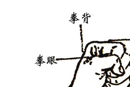 射雕中指峰上第二指节是哪里