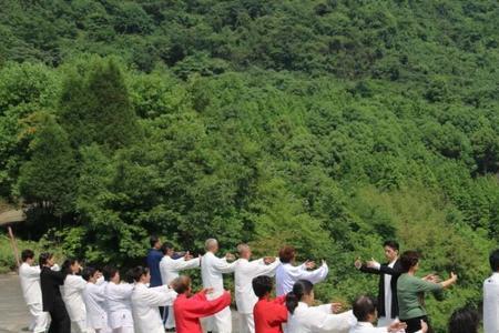 武当鹤形桩分解教学