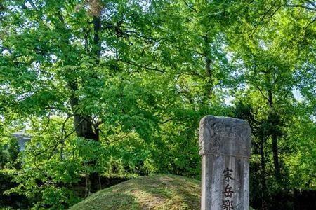 岳飞墓里面有尸骨吗