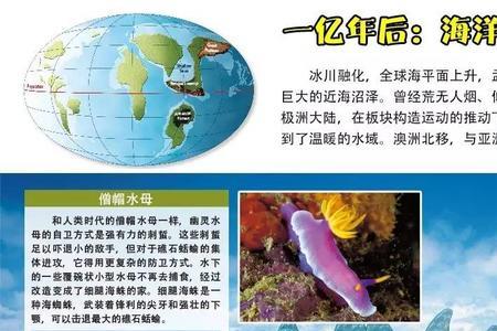 狂野年代怎么不更新了