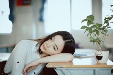 往日随风什么意思