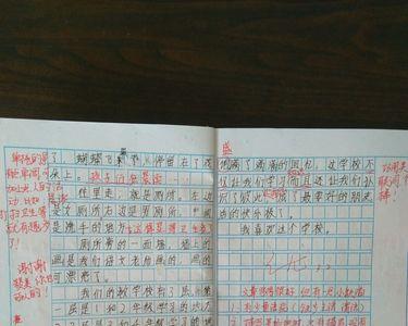 作业评比活动的意义