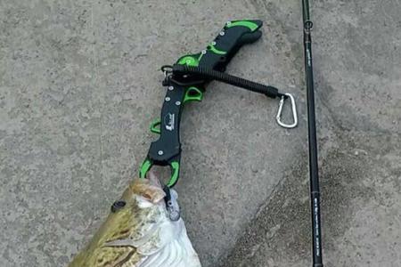 m竿可以钓鳜鱼吗