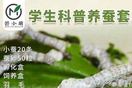 蚕卵孵化后多久喂桑叶