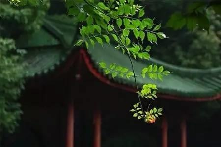 时光悠悠漫长路啥意思