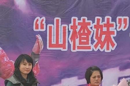 山楂妹帮助三个哥哥吗