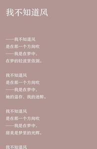徐志摩的诗我在桥上看风景