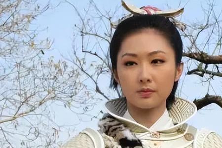 家庭女将什么意思