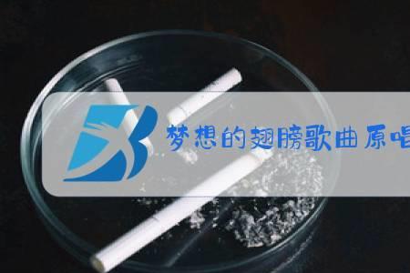 我要梦想的翅膀原唱
