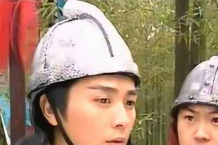 薛仁贵传奇张士贵大结局