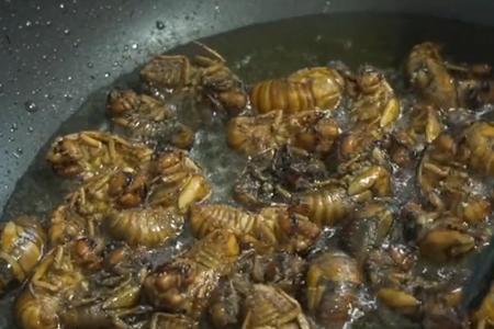 知了猴在饭店怎么叫法