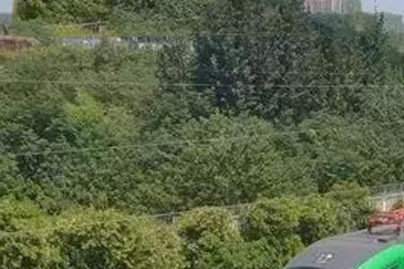 绿巨人动车组几个型号
