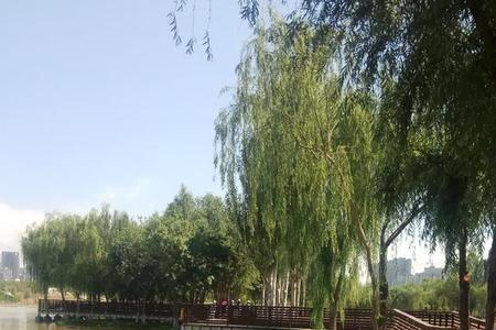西安桃花潭的历史故事