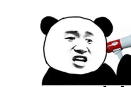 bor是什么意思网络用语女生